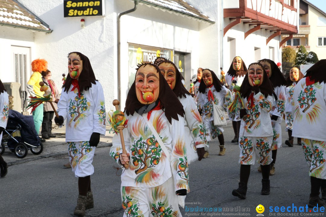 Fasnets Umzug: Hilzingen am Bodensee, 10.02.2013