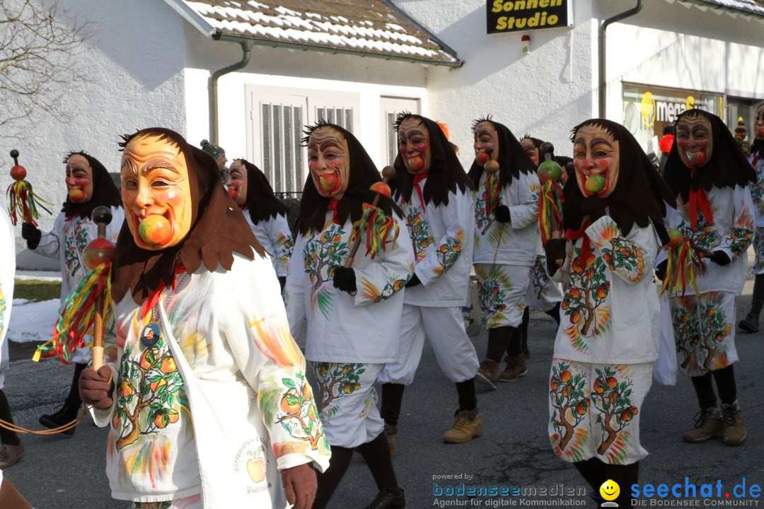 Fasnets Umzug: Hilzingen am Bodensee, 10.02.2013