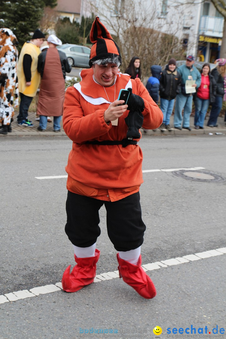 Rosenmontagsumzug: Gottmadingen am Bodensee, 11.02.2013