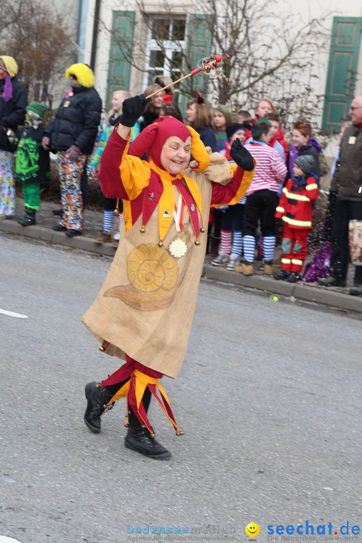 Rosenmontagsumzug: Gottmadingen am Bodensee, 11.02.2013