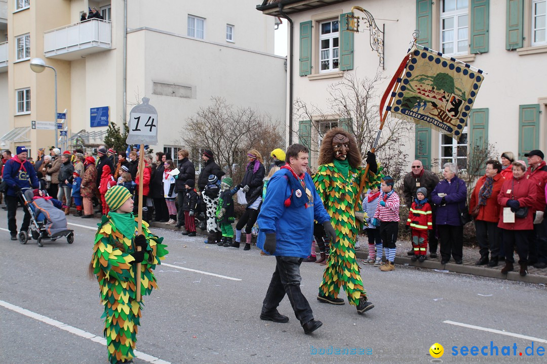 Rosenmontagsumzug: Gottmadingen am Bodensee, 11.02.2013