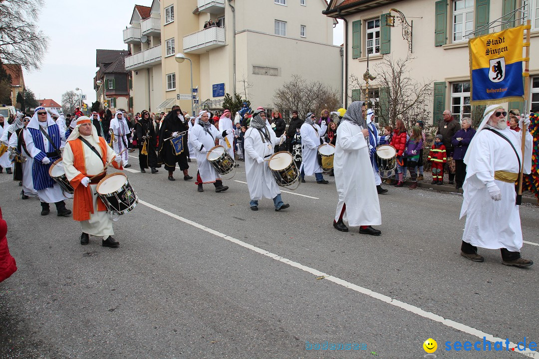 Rosenmontagsumzug: Gottmadingen am Bodensee, 11.02.2013