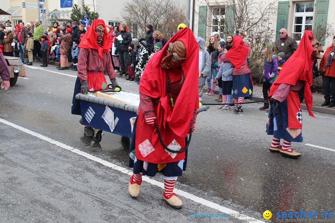 Rosenmontagsumzug: Gottmadingen am Bodensee, 11.02.2013