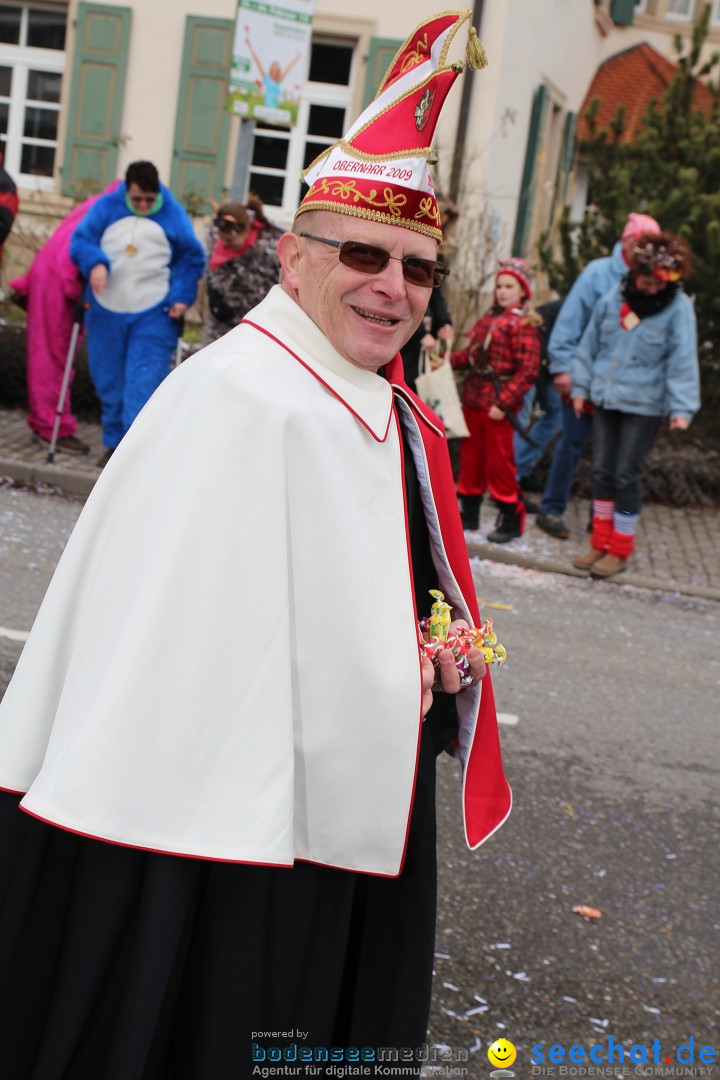 Rosenmontagsumzug: Gottmadingen am Bodensee, 11.02.2013