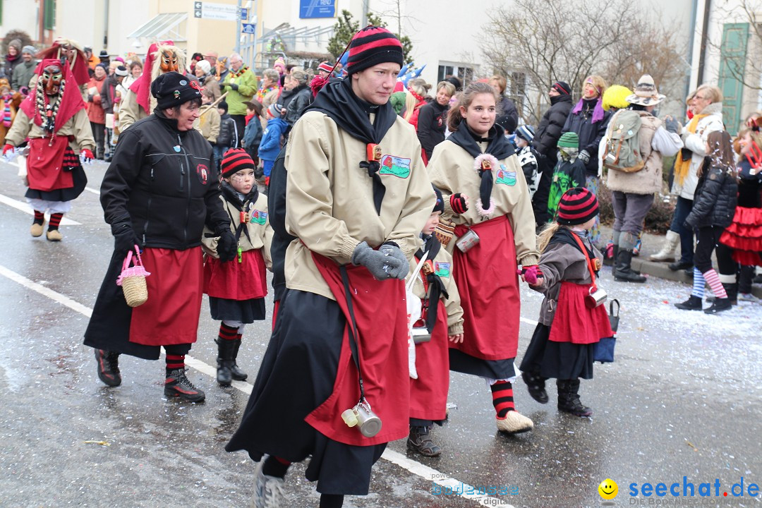 Rosenmontagsumzug: Gottmadingen am Bodensee, 11.02.2013