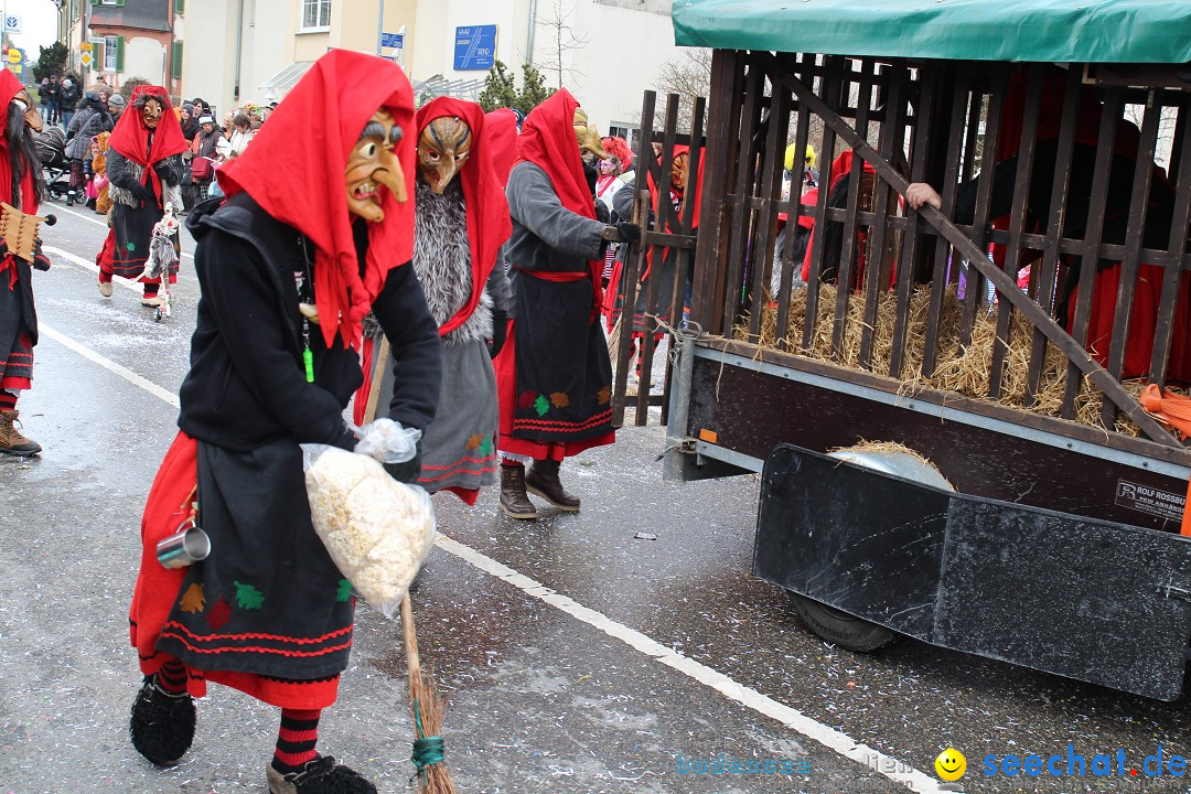 Rosenmontagsumzug: Gottmadingen am Bodensee, 11.02.2013