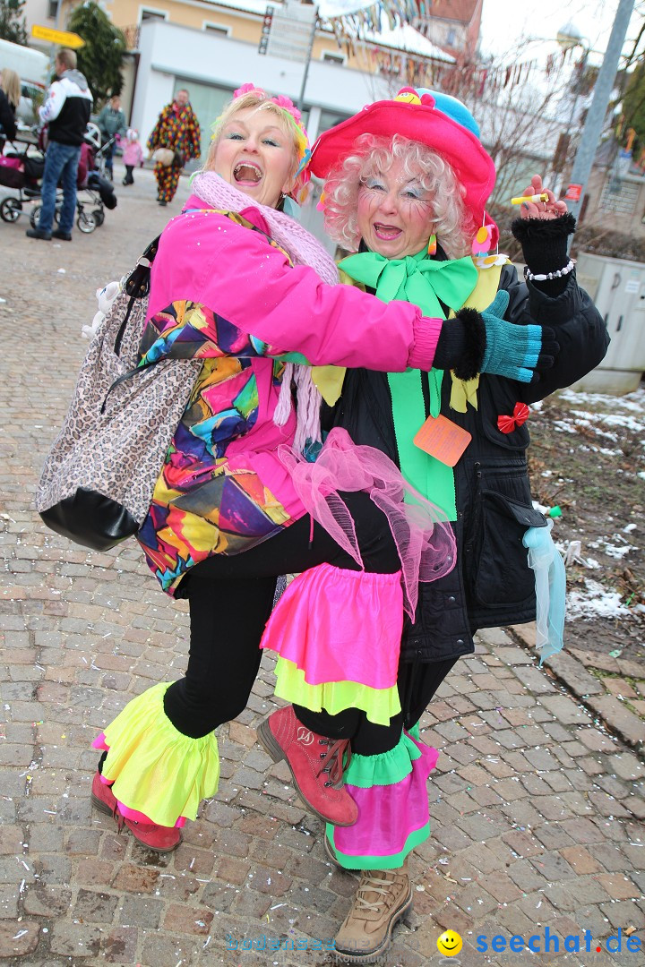 Rosenmontagsumzug: Gottmadingen am Bodensee, 11.02.2013