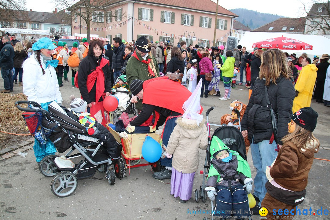 Rosenmontagsumzug: Gottmadingen am Bodensee, 11.02.2013