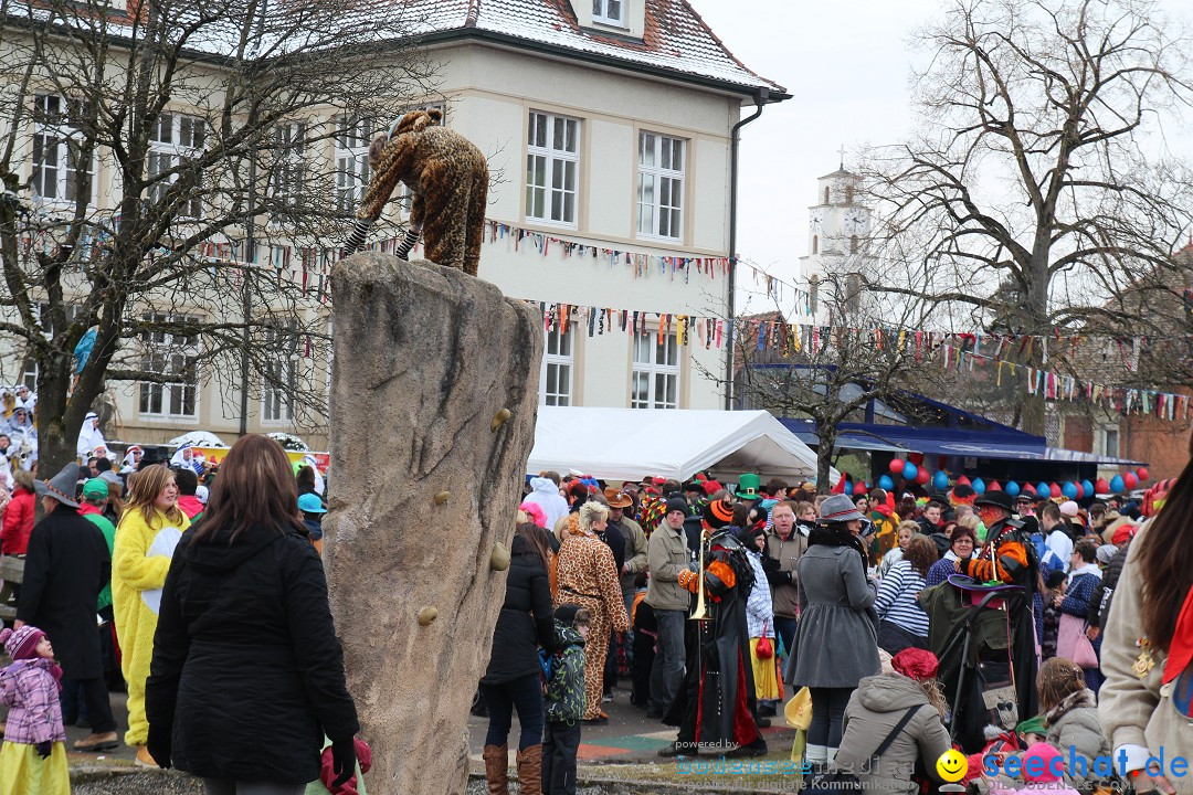 Rosenmontagsumzug: Gottmadingen am Bodensee, 11.02.2013
