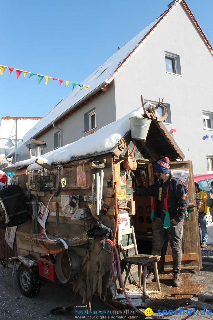Fasnets-Umzug: Stetten am kalten Markt, 10.02.2013
