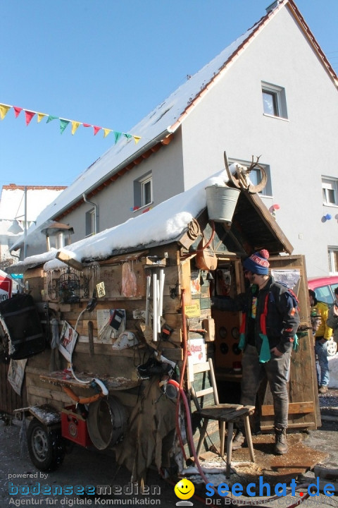 Fasnets-Umzug: Stetten am kalten Markt, 10.02.2013