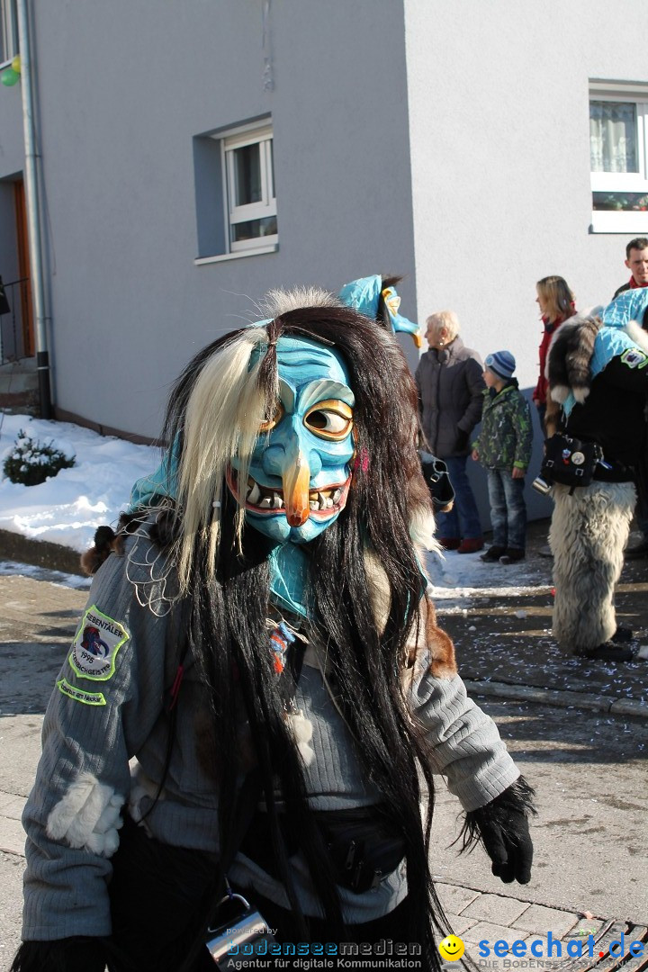 Fasnets-Umzug: Stetten am kalten Markt, 10.02.2013