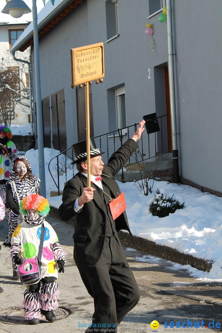 Fasnets-Umzug: Stetten am kalten Markt, 10.02.2013