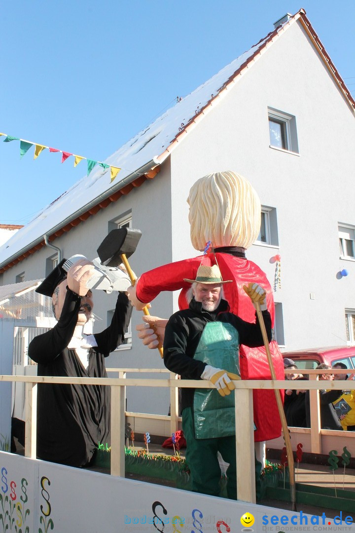 Fasnets-Umzug: Stetten am kalten Markt, 10.02.2013