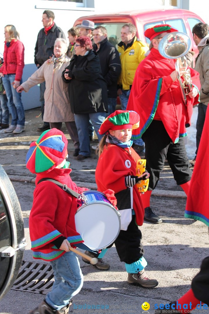 Fasnets-Umzug: Stetten am kalten Markt, 10.02.2013