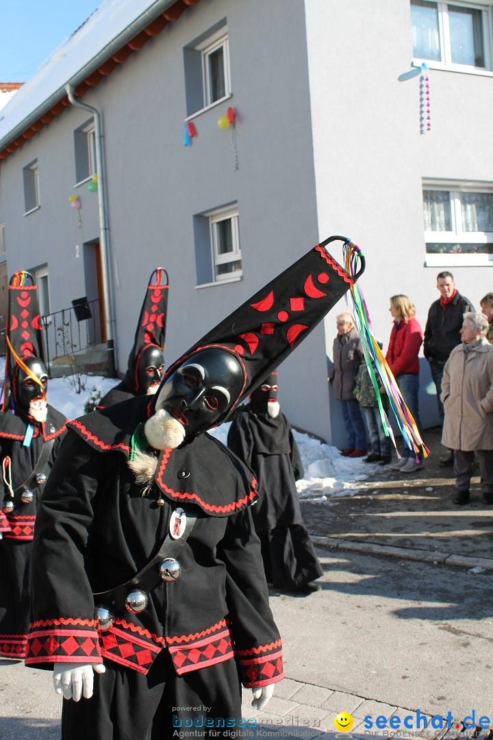 Fasnets-Umzug: Stetten am kalten Markt, 10.02.2013