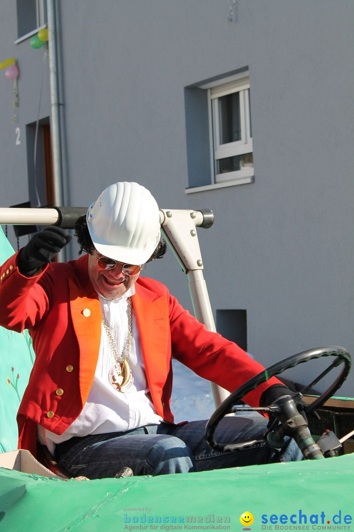 Fasnets-Umzug: Stetten am kalten Markt, 10.02.2013