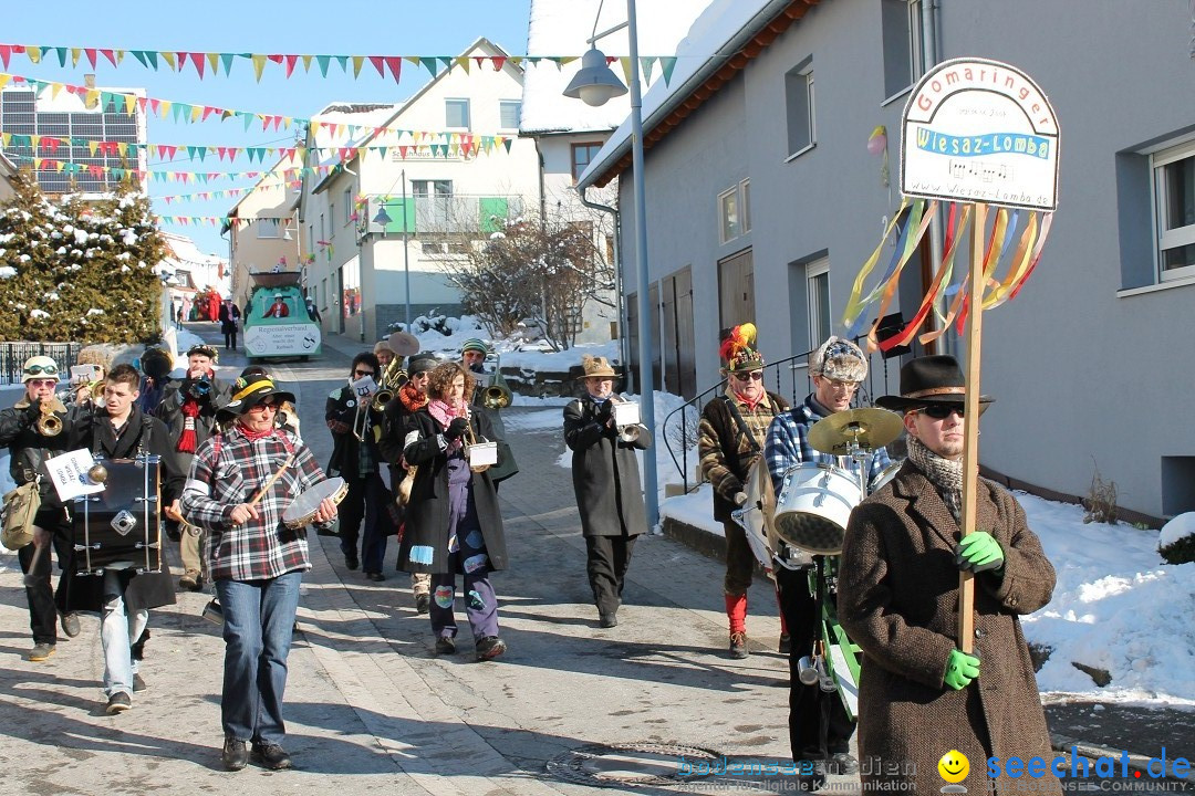 Fasnets-Umzug: Stetten am kalten Markt, 10.02.2013