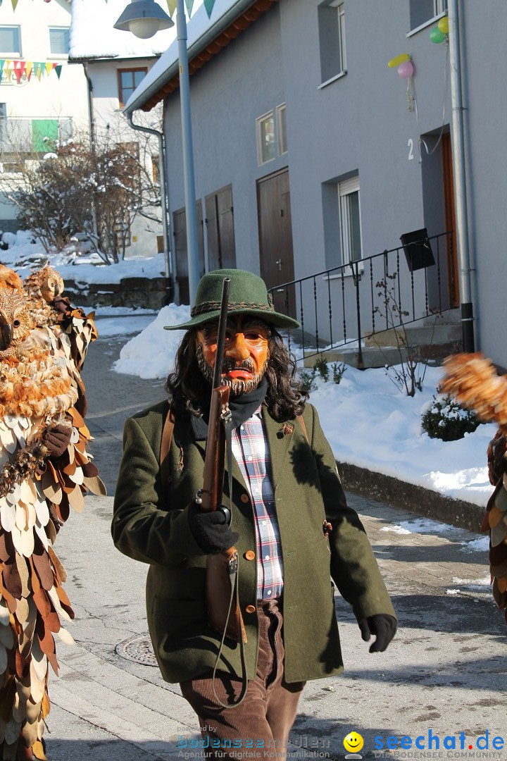 Fasnets-Umzug: Stetten am kalten Markt, 10.02.2013
