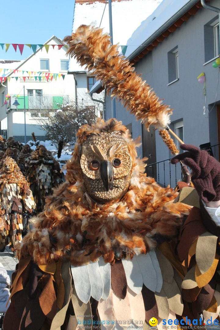 Fasnets-Umzug: Stetten am kalten Markt, 10.02.2013