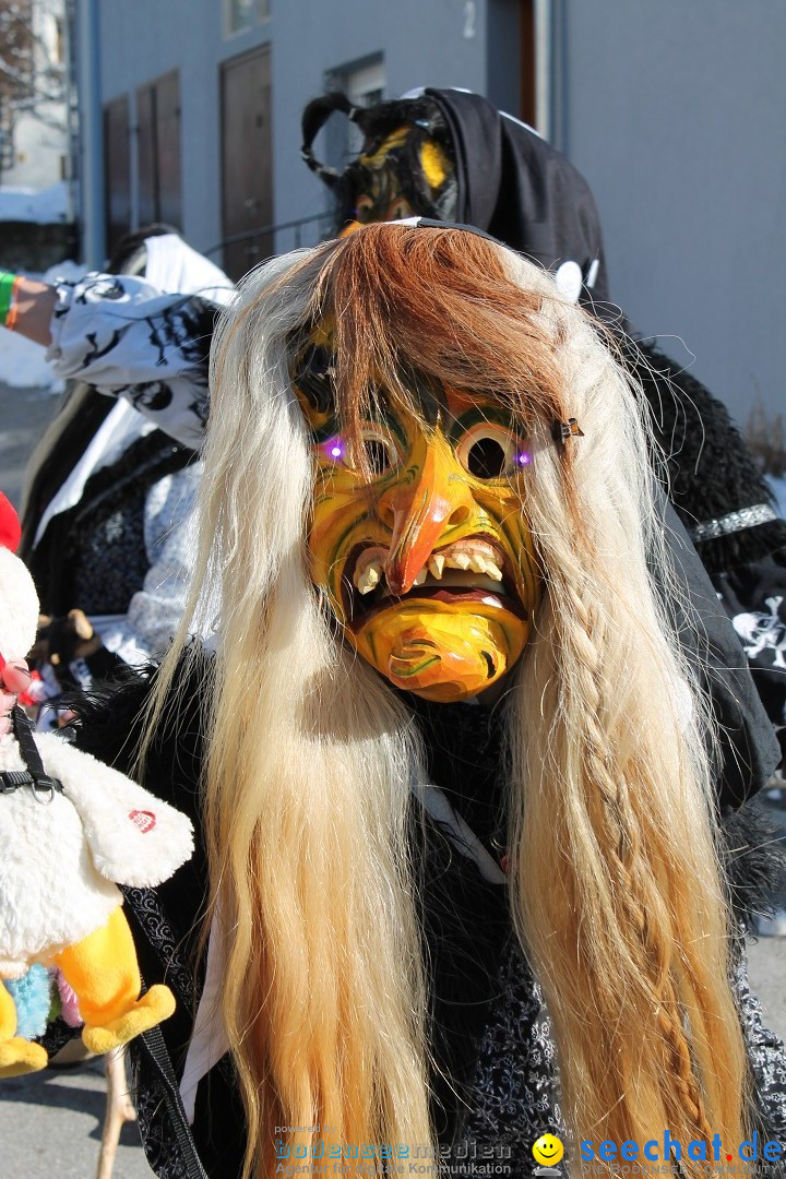 Fasnets-Umzug: Stetten am kalten Markt, 10.02.2013