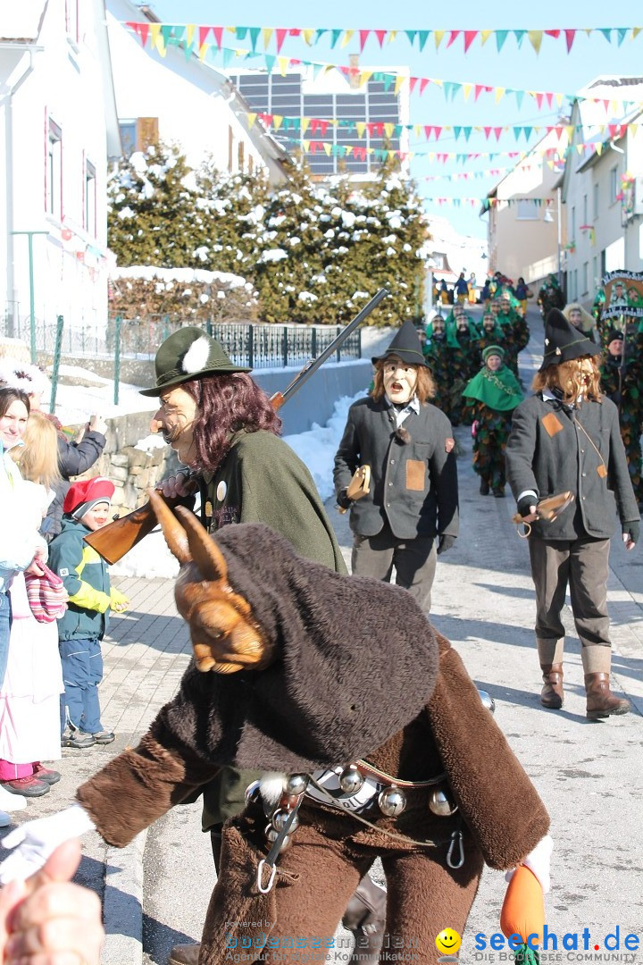 Fasnets-Umzug: Stetten am kalten Markt, 10.02.2013