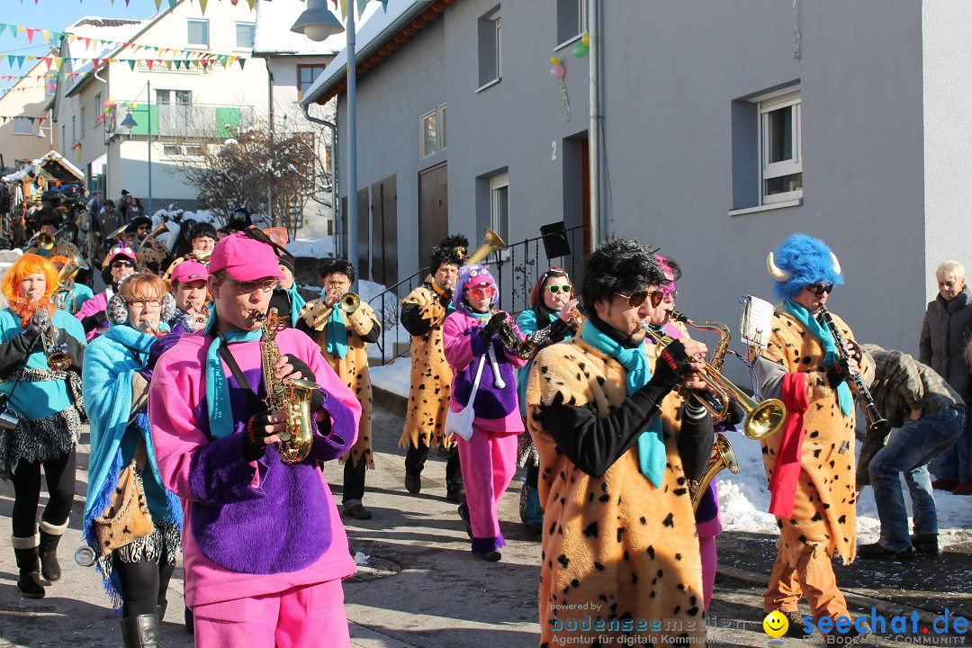 Fasnets-Umzug: Stetten am kalten Markt, 10.02.2013