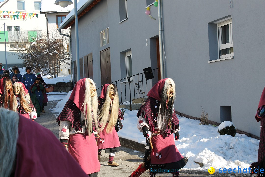 Fasnets-Umzug: Stetten am kalten Markt, 10.02.2013