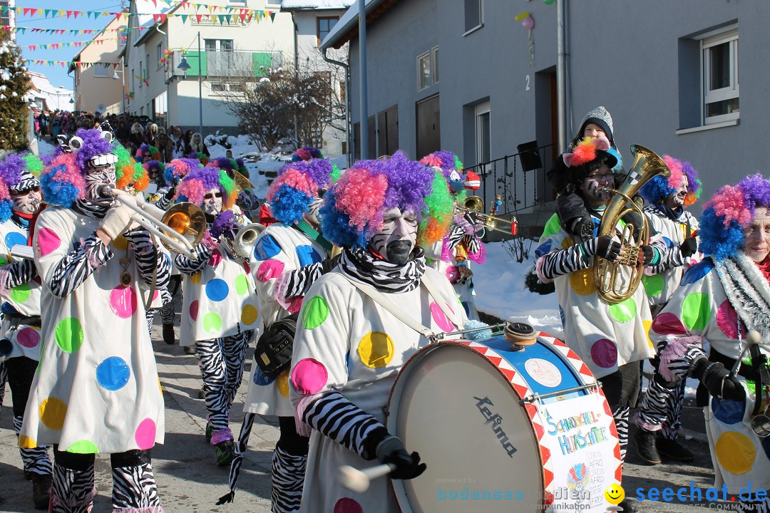 Fasnets-Umzug: Stetten am kalten Markt, 10.02.2013