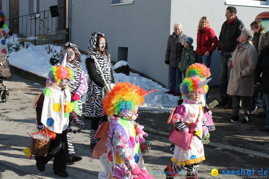 Fasnets-Umzug: Stetten am kalten Markt, 10.02.2013