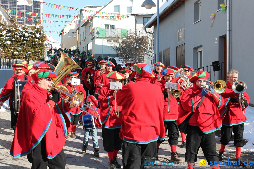 Fasnets-Umzug: Stetten am kalten Markt, 10.02.2013