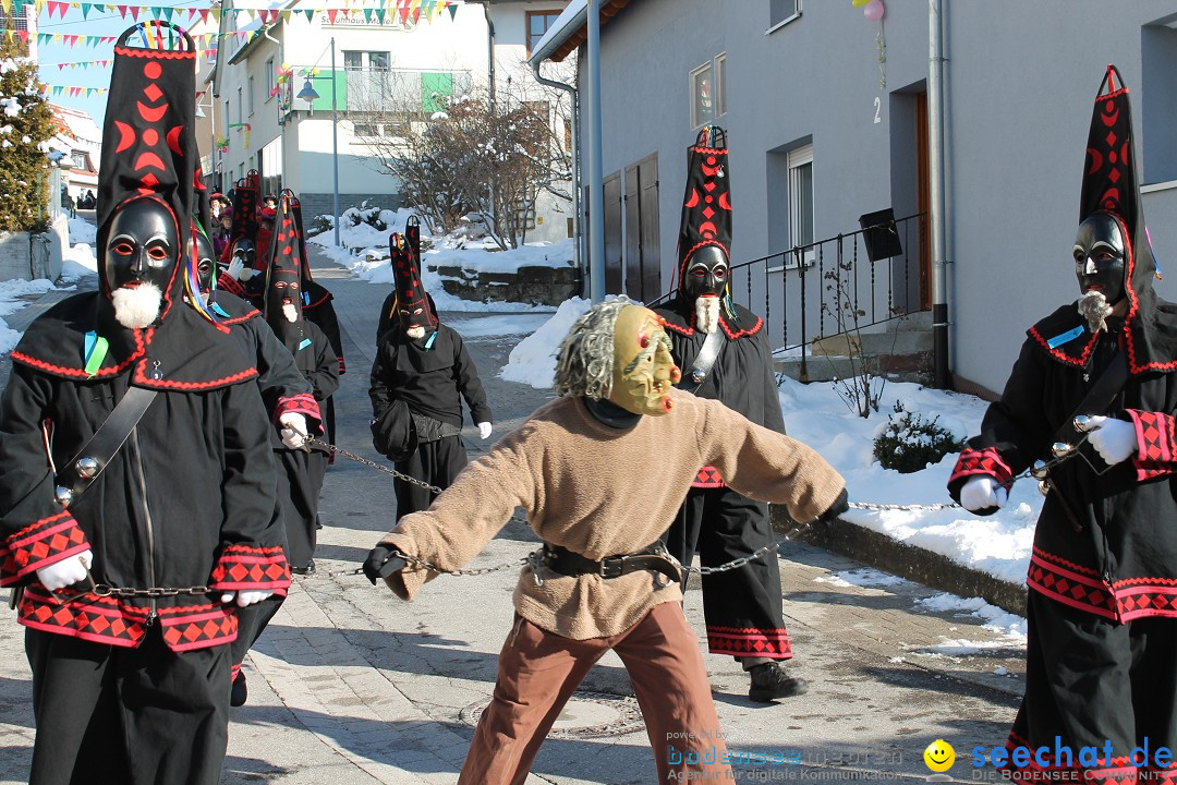 Fasnets-Umzug: Stetten am kalten Markt, 10.02.2013