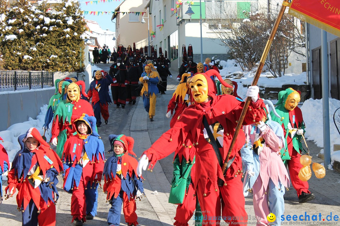 Fasnets-Umzug: Stetten am kalten Markt, 10.02.2013