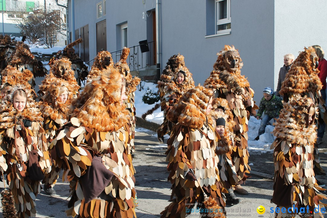 Fasnets-Umzug: Stetten am kalten Markt, 10.02.2013