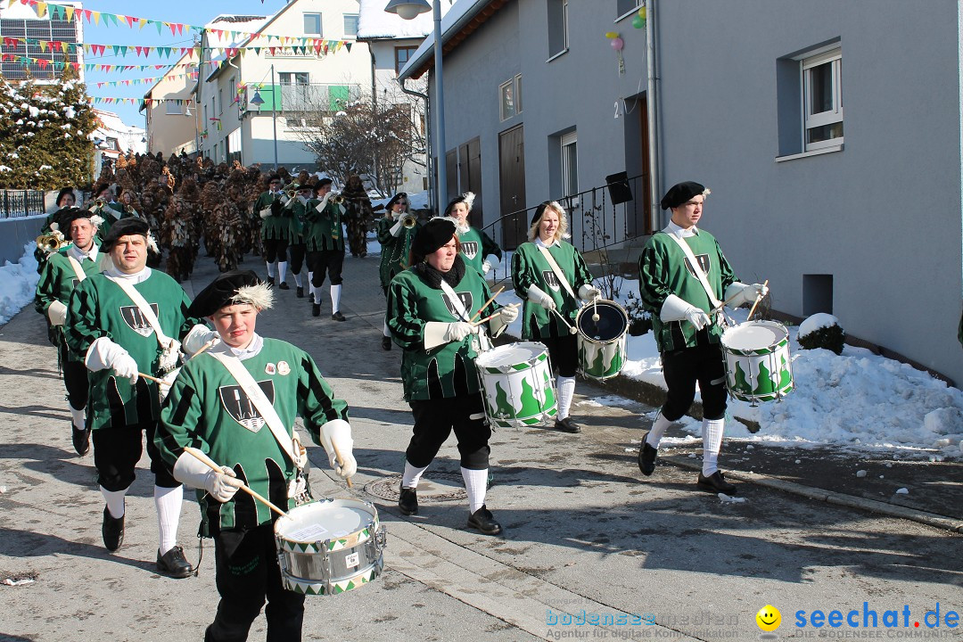 Fasnets-Umzug: Stetten am kalten Markt, 10.02.2013