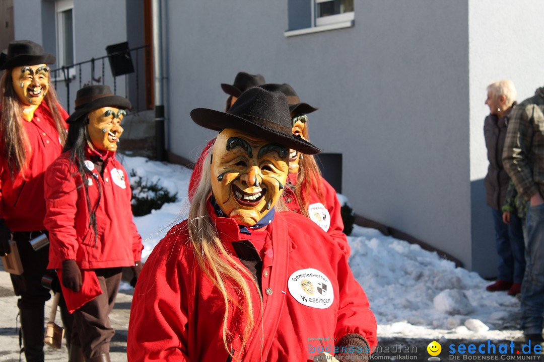 Fasnets-Umzug: Stetten am kalten Markt, 10.02.2013