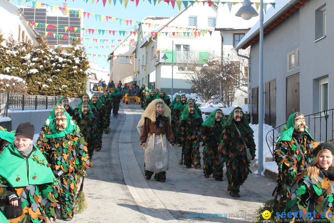 Fasnets-Umzug: Stetten am kalten Markt, 10.02.2013
