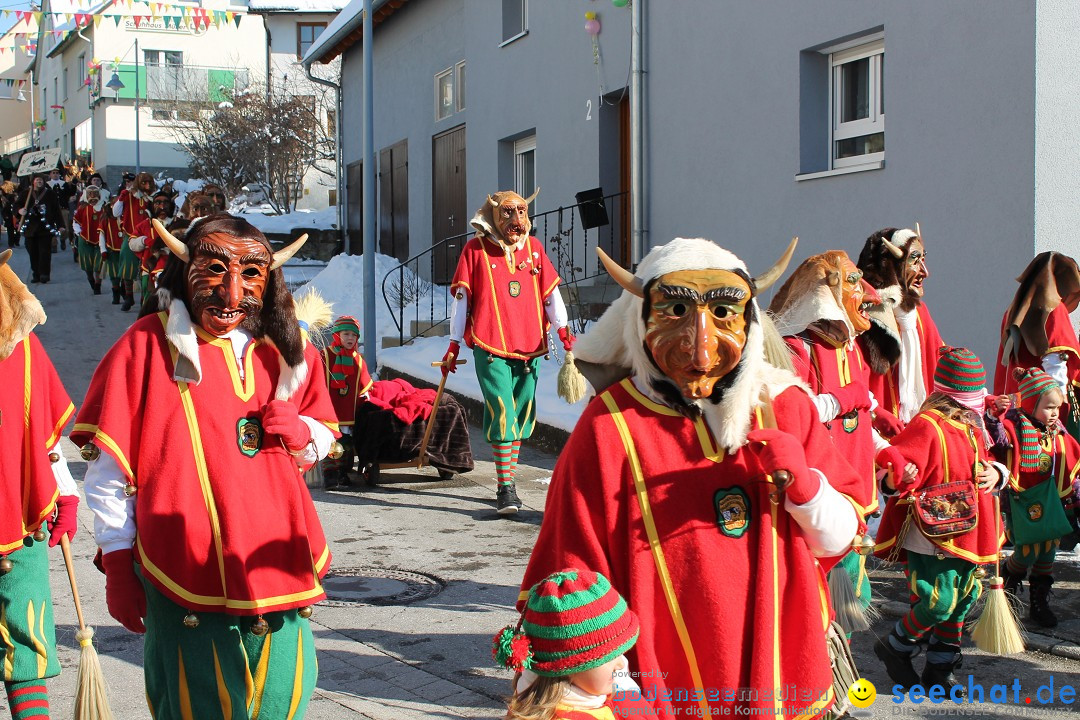 Fasnets-Umzug: Stetten am kalten Markt, 10.02.2013
