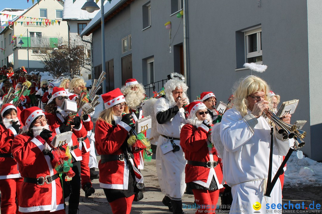 Fasnets-Umzug: Stetten am kalten Markt, 10.02.2013