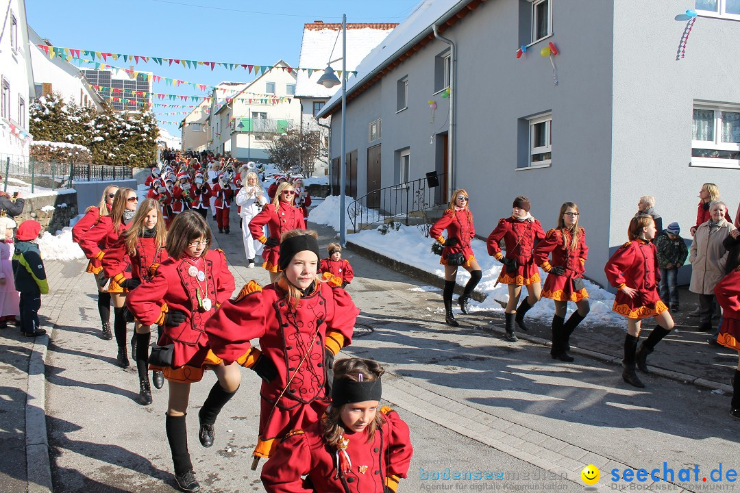 Fasnets-Umzug: Stetten am kalten Markt, 10.02.2013