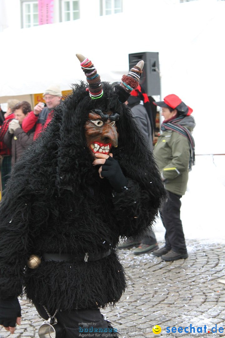 Fasnets-Umzug 2013: Hechingen, 12.02.2013