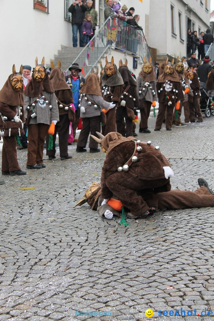 Fasnets-Umzug 2013: Hechingen, 12.02.2013