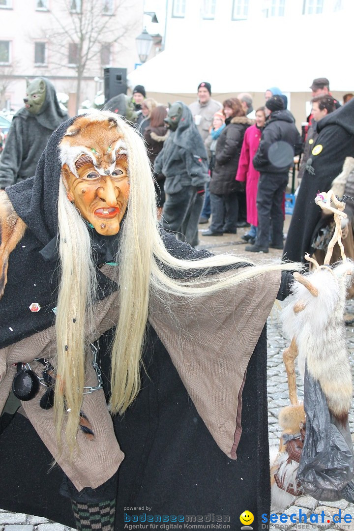Fasnets-Umzug 2013: Hechingen, 12.02.2013