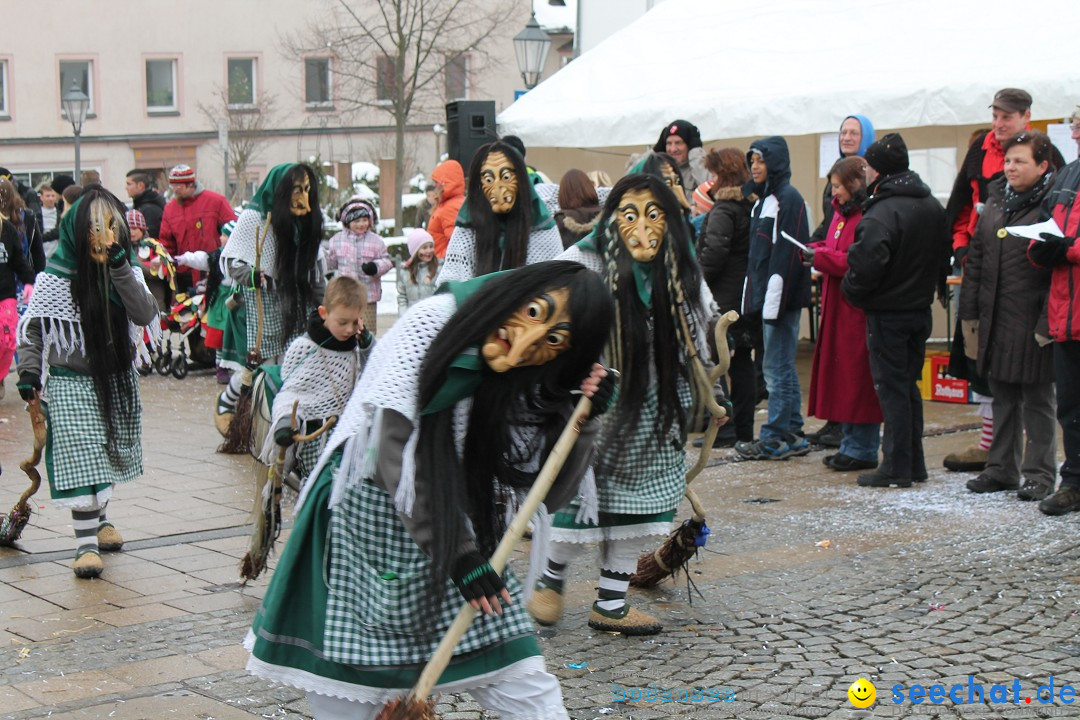 Fasnets-Umzug 2013: Hechingen, 12.02.2013