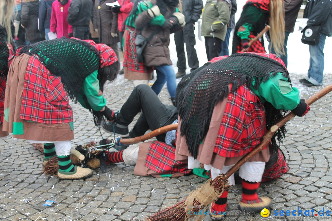 Fasnets-Umzug 2013: Hechingen, 12.02.2013