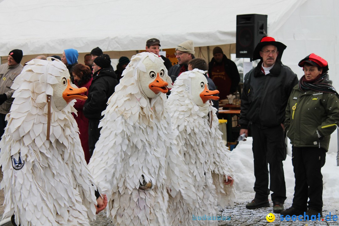 Fasnets-Umzug 2013: Hechingen, 12.02.2013