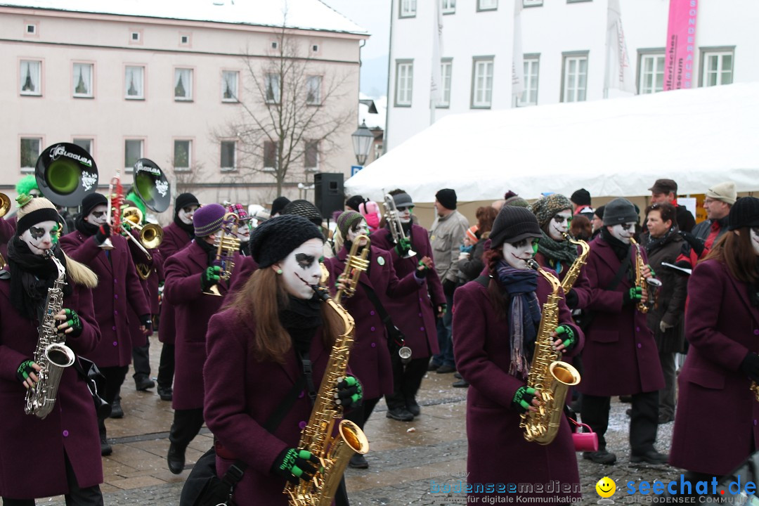 Fasnets-Umzug 2013: Hechingen, 12.02.2013