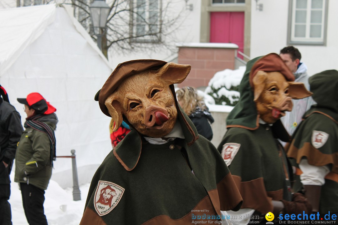 Fasnets-Umzug 2013: Hechingen, 12.02.2013