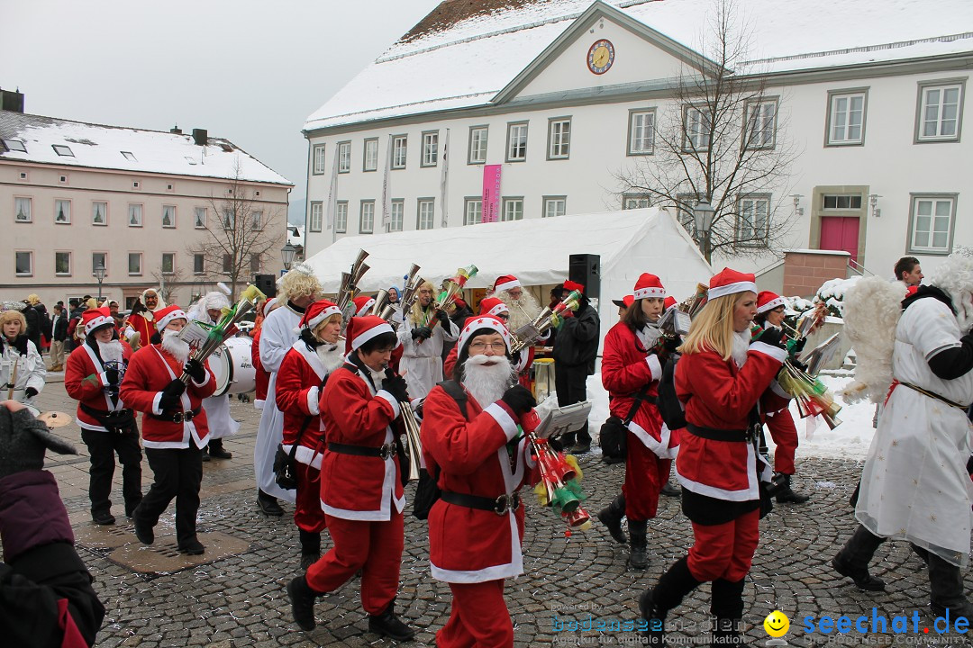 Fasnets-Umzug 2013: Hechingen, 12.02.2013