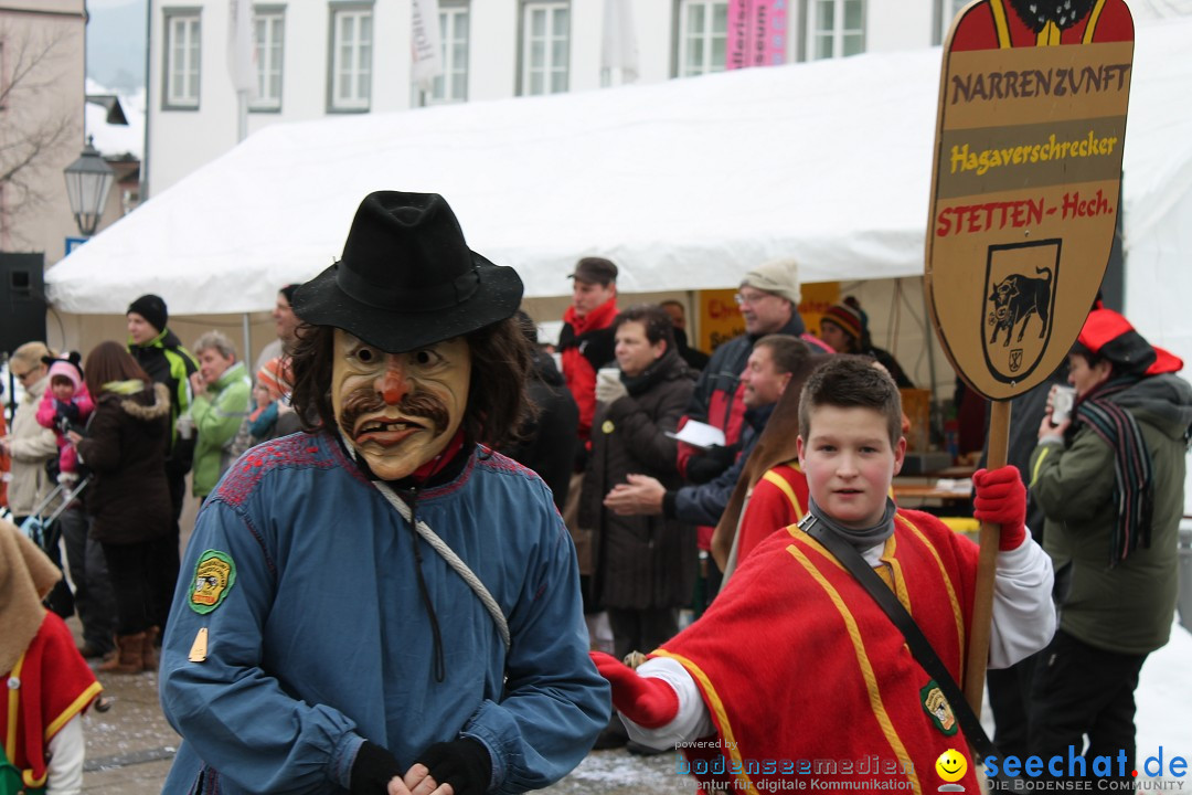 Fasnets-Umzug 2013: Hechingen, 12.02.2013